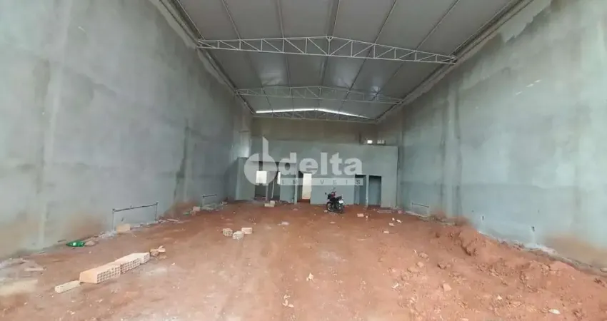 Galpão disponível para venda no bairro Novo Mundo em Uberlândia-MG