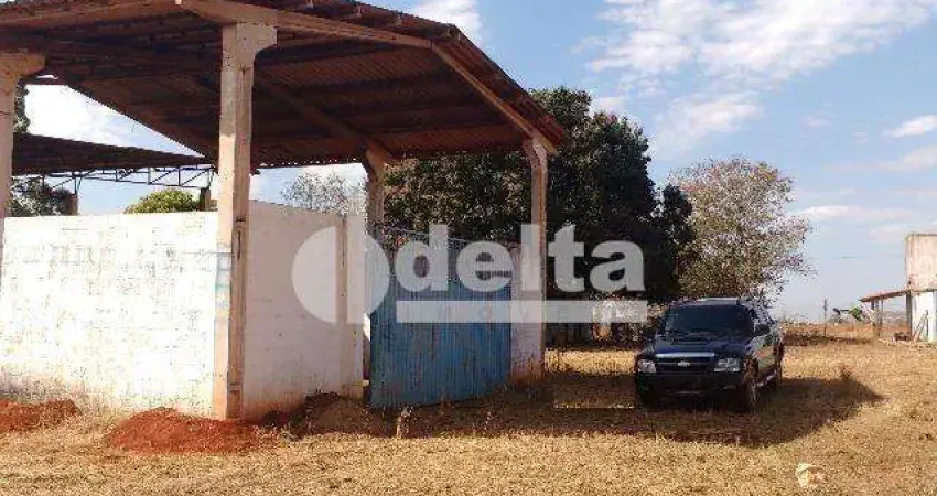 Galpão disponível para locação no bairro Tocantins em Uberlândia-MG