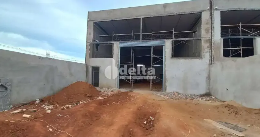 Casa residencial disponível para venda no bairro Novo Mundo em Uberlândia-MG
