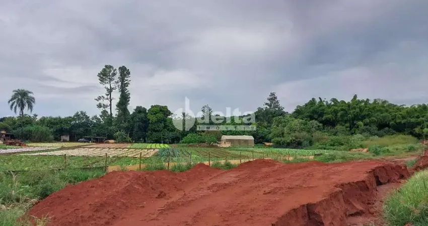 Terreno disponível para locação no bairro Shopping Park em Uberlândia-MG