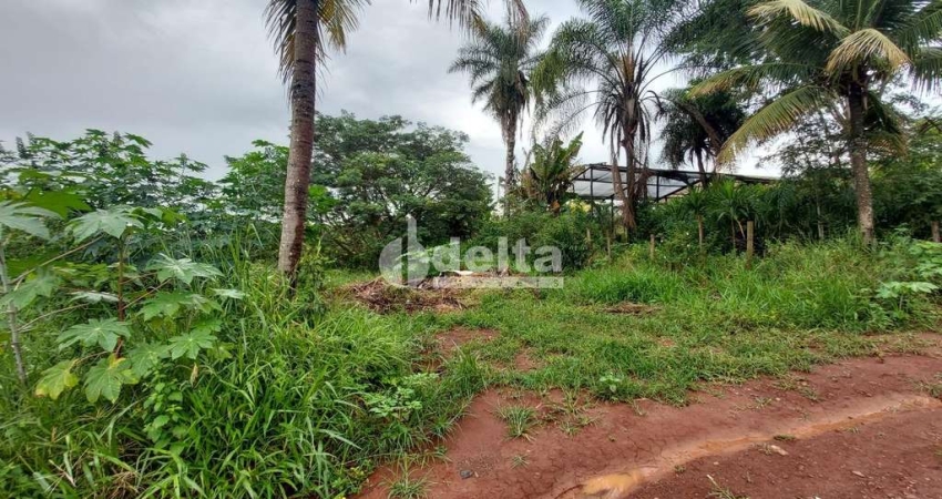 Terreno disponível para locação no bairro Shopping Park em Uberlândia-MG