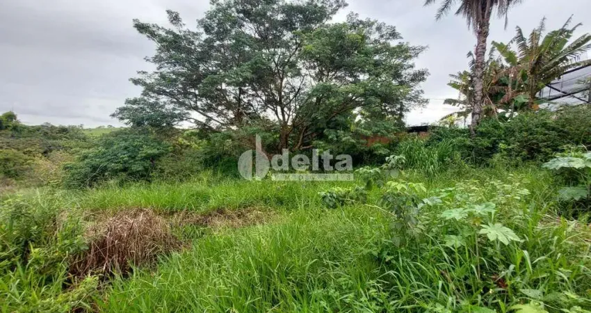 Terreno disponível para locação no bairro Shopping Park em Uberlândia-MG
