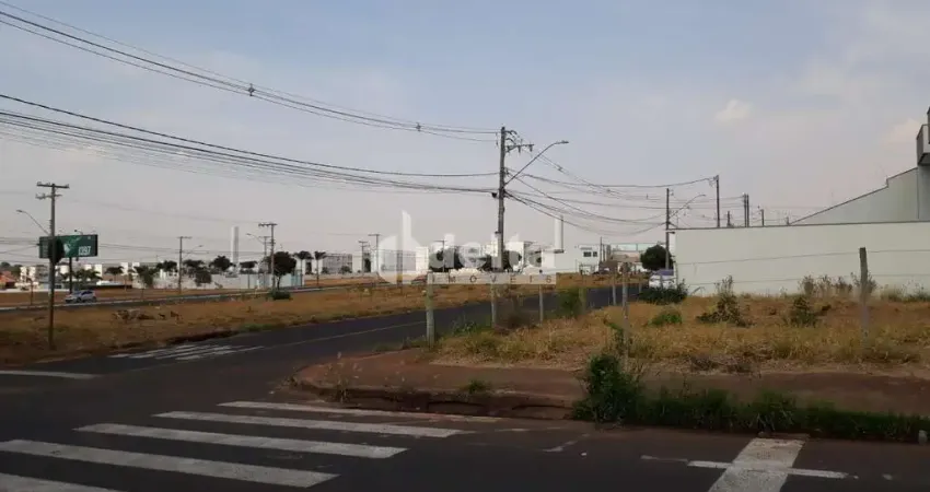 Terreno disponível para locação no bairro Alto Umuarama em Uberlândia-MG
