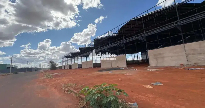 Galpão disponível para locação no bairro loteamento centro empresarial leste i em uberlândia-mg