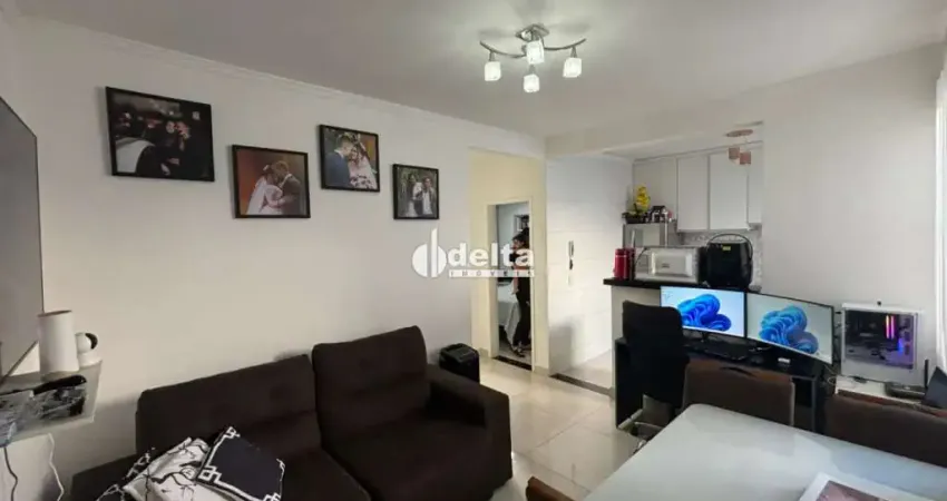 Apartamento com 2 quartos disponível para locação no bairro gávea em uberlândia - mg.