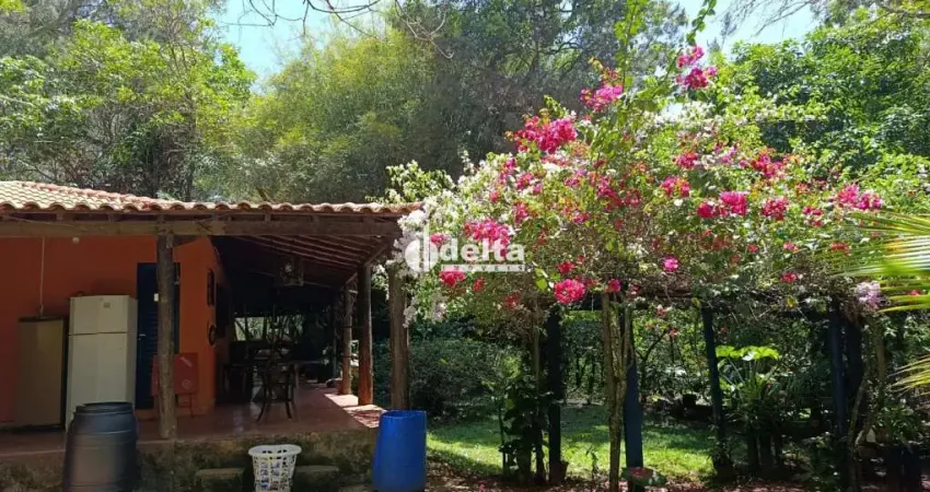 Chácara com 4 quartos disponível para locação e venda no bairro chácaras oliveira em uberlândia-mg.