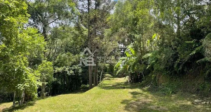 Terreno à venda, 29233 m² por r$ 2.990.000,00 - centro - colombo/pr
