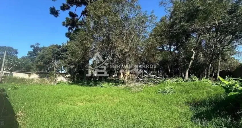 Terreno residencial à venda, vila juliana, piraquara - te0069.