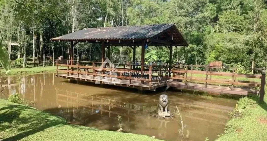 Chácara com 3 dormitórios à venda, 4232 m² por r$ 1.800.000,00 - planta laranjeiras - piraquara/pr