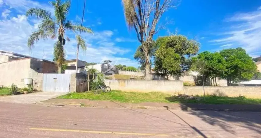 Terreno residencial à venda, vila rosa, piraquara - te0032.