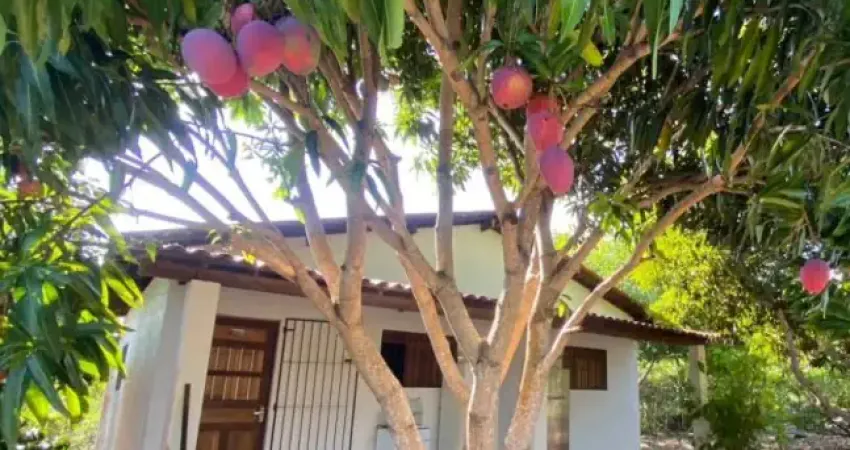 Chácara / sítio com 2 quartos à venda na Rua São José, Centro, Lucena