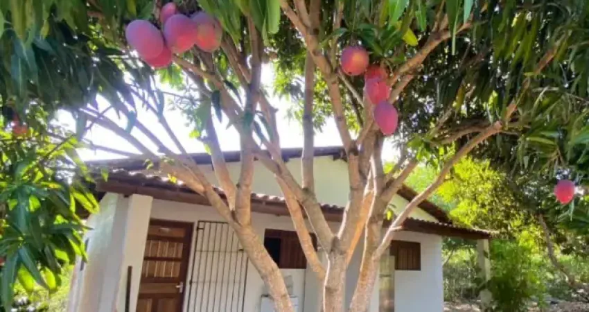 Chácara / sítio com 2 quartos à venda na Rua São José, Centro, Lucena
