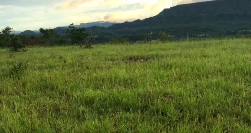 Fazenda à venda na Rua Principal, Zona Rural, Pedra Preta