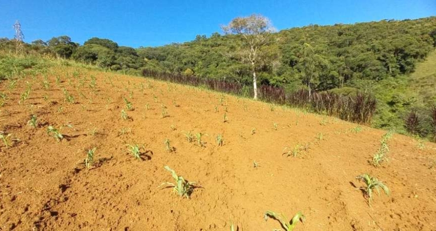 Sítio para venda em São Pedro De Alcântara/SC - SI133