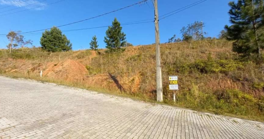 Terreno para venda centro são pedro de alcântara - TE86