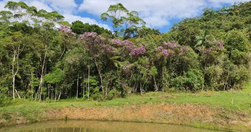 Chácara / sítio à venda no Barro Branco, São Pedro de Alcântara 