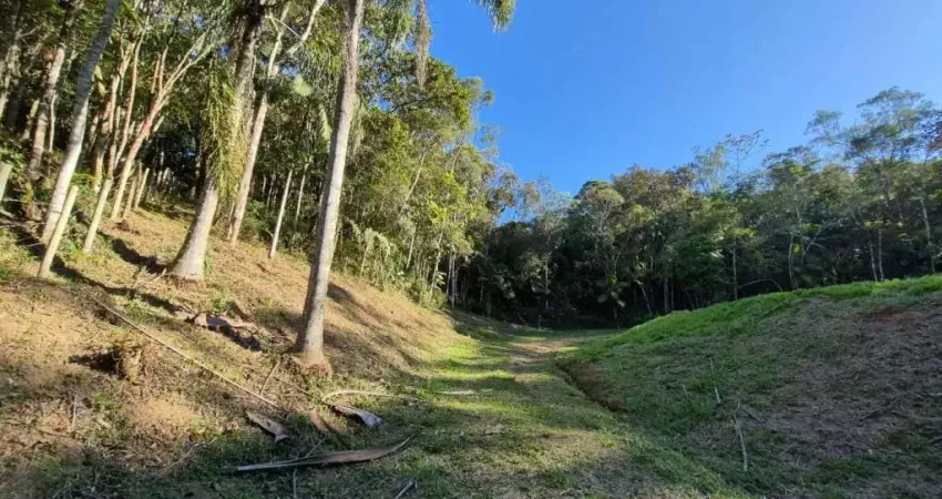 Chácara / sítio à venda na Geral de Rio Forquilhas, Barro Branco, São Pedro de Alcântara