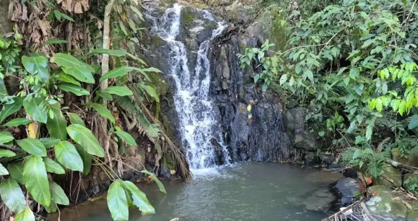 Chácara / sítio à venda na ESTRADA GERAL DE SANTA FILOMENA, S/N, Santa Filomena, São Pedro de Alcântara