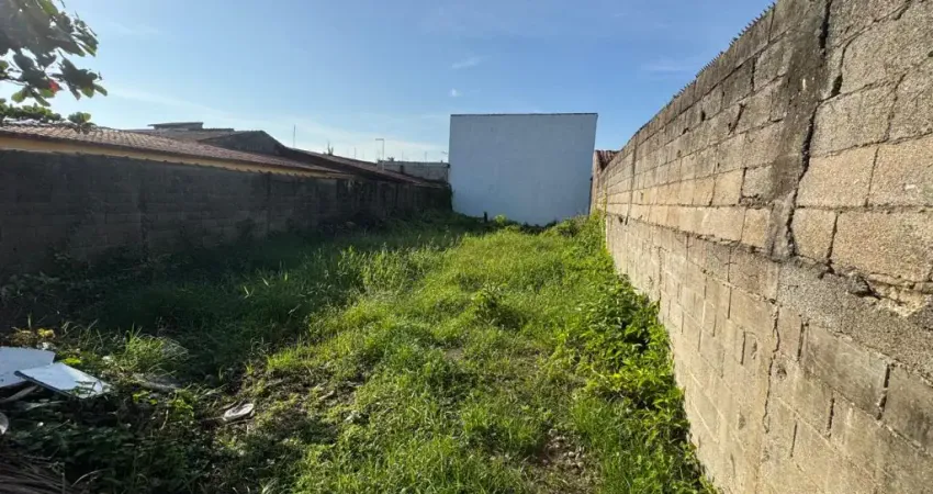 TERRENO PRA GEMINADA, MURADO E ATERRADO AVENDA NO GAIVOTA