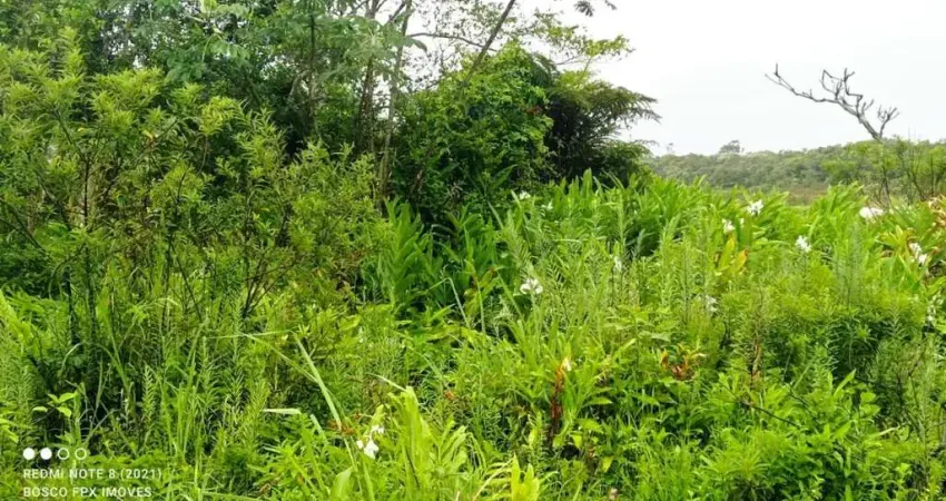 Terreno à venda no Balneário Gaivota, Itanhaém