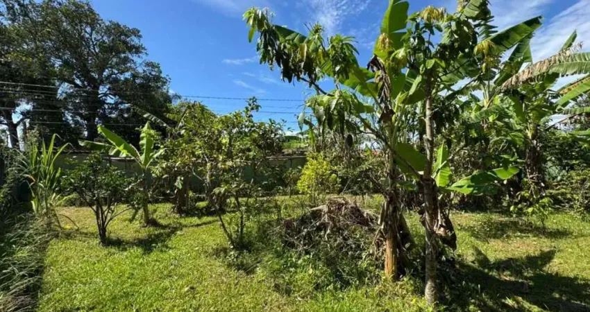 Terreno à venda na Av. padre anchieta, 6840, Jardim das Palmeiras, Itanhaém