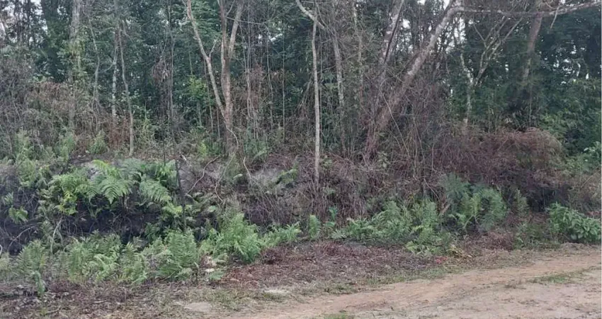 Chácara / sítio à venda na Av Padre Anchieta, 6840, Jardim São Fernando, Itanhaém