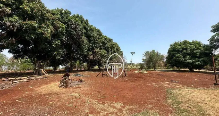 Chácara à venda, 6000 m² por R$ 550.000 - Frei Timóteo - Jataizinho/PR