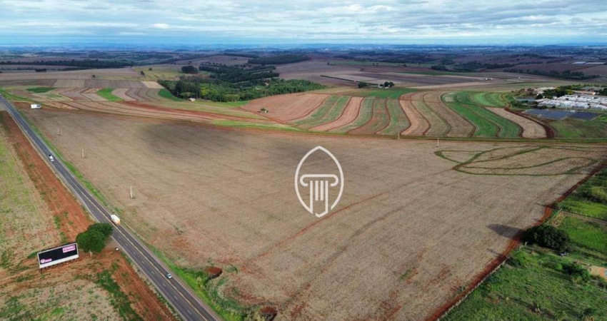 Sítio à venda, 11 alqueires por R$ 11.000.000 - Zona Rural - Londrina/PR