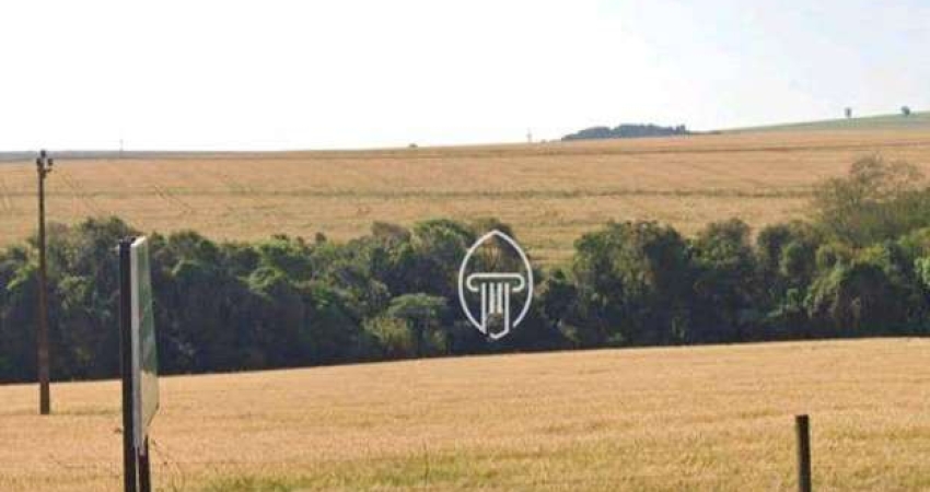 Terreno à venda, 2,97 hectares por R$ 1.500.000 - Rural - Faxinal/PR
