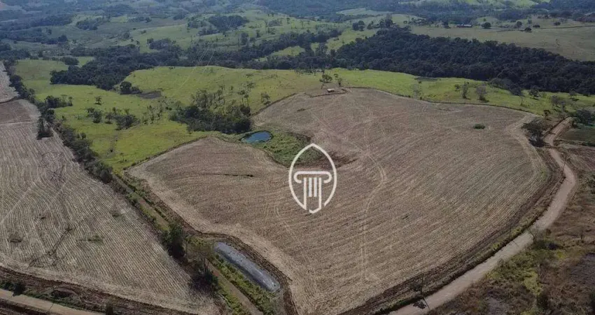 Sítio à venda, 22 alqueires por R$ 4.400.000 - Zona Rural - Jataizinho/PR