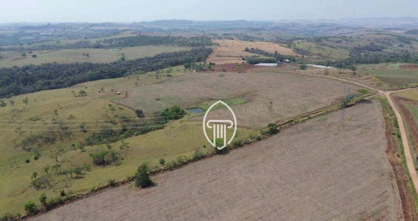 Fazenda à venda, 96 alqueires por R$ 20.000.000 - Rural - Urai/PR