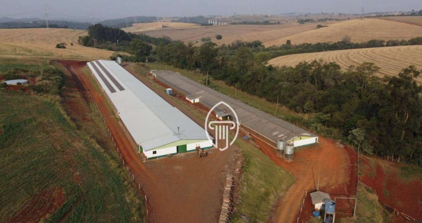 Sítio à venda, 3 alqueires por R$ 3.300.000 - Zona Rural - Londrina/PR