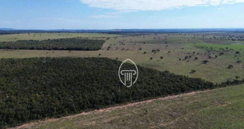 Fazenda à venda, 700 hectares por R$ 14.000.000 - Zona Rural - Coxim/MS