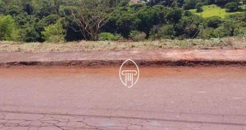 Terreno à venda, 299 m² por R$ 80.000 - Las Vegas - Ibiporã/PR