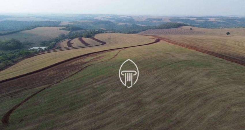 Fazenda à venda, 80 alqueires por R$ 28.000.000 - Zona Rural - Londrina/PR