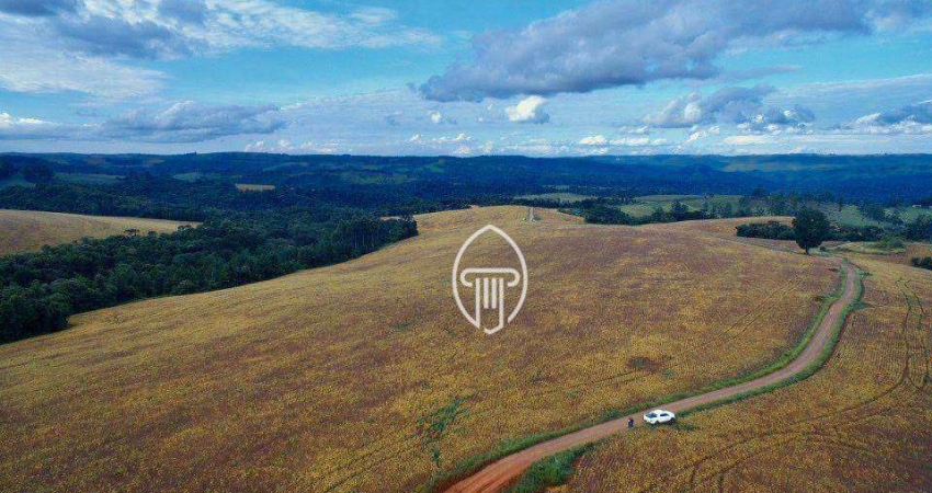 Fazenda à venda, 400 alqueires por R$ 65.000.000 - Zona Rural - Tamarana/PR
