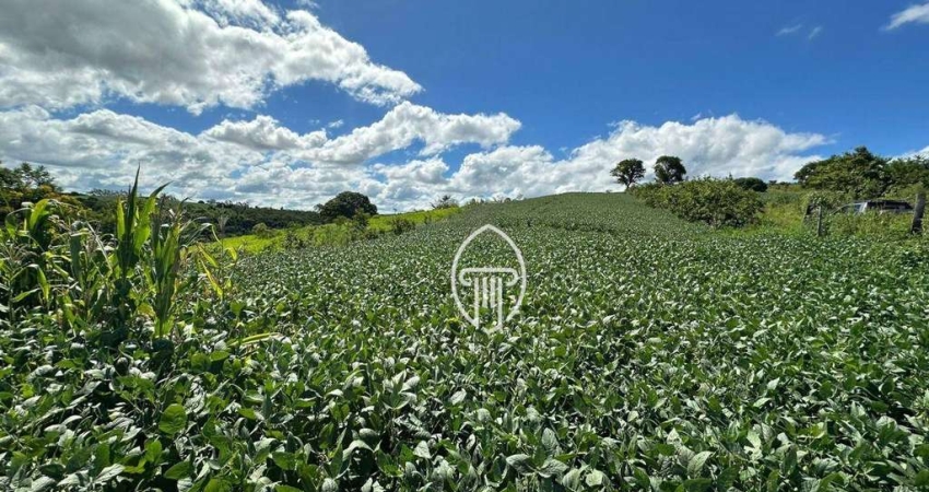 Sítio à venda, 16 alqueires por R$ 3.300.000 - Rural - Urai/PR