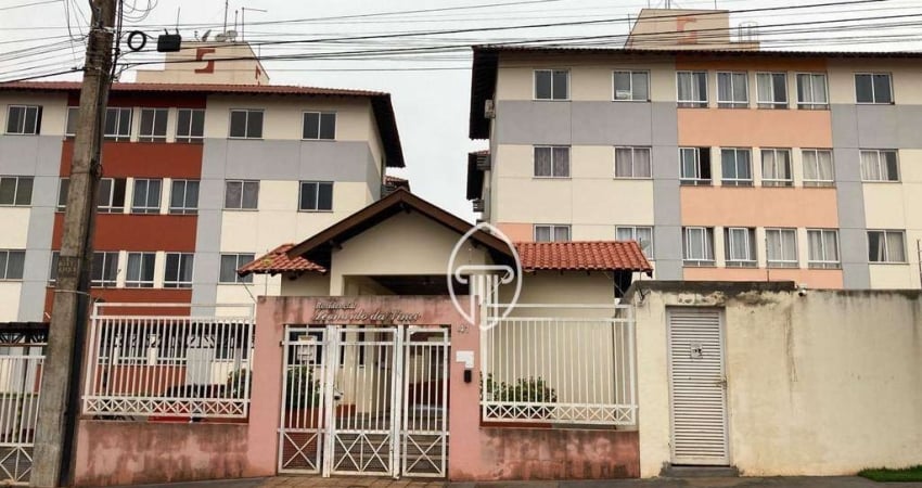 Apartamento com 3 dormitórios à venda, 70 m² por R$ 200.000,00 - Vila Romana - Ibiporã/PR