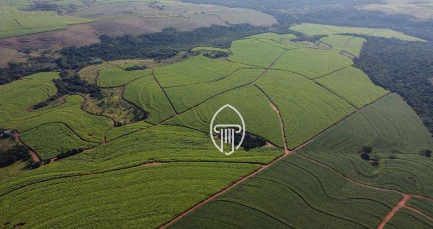 Fazenda à venda, 397 alqueires por R$ 108.000.000 - Zona Rural - Porecatu/PR