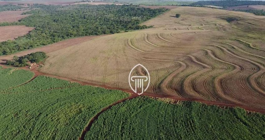 Fazenda à venda, 51 alqueires por R$ 15.000.000 - Rural - Alvorada do Sul/PR