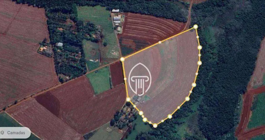 Sítio à venda, 6 alqueires por R$ 4.800.000 - Zona Rural - Cambé/PR