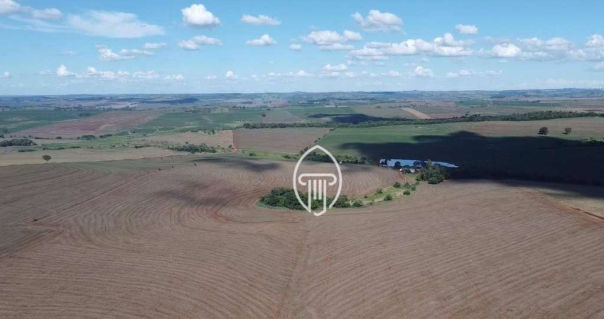 Fazenda à venda, 150 alqueires por R$ 45.000.000 - Rural - Sertaneja/PR