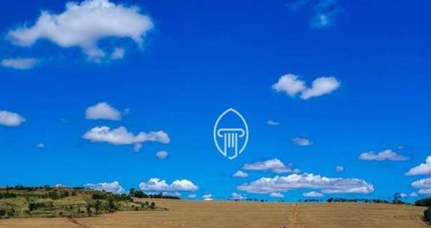 Sítio à venda, 7 alqueires por R$ 2.500.000 - Zona Rural - Rolândia/PR
