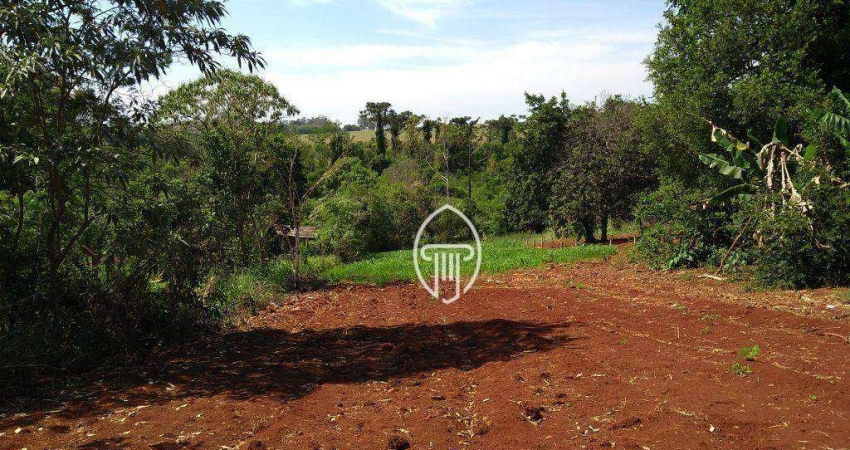 Chácara à venda, 3000 m² por R$ 280.000 - Zona Rural - Londrina/PR