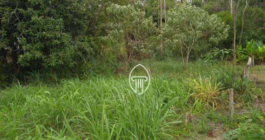 Chácara à venda, 3000 m² por R$ 300.000 - Zona Rural - Londrina/PR