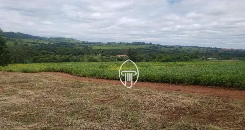 Chácara à venda, 1 alqueire por R$ 590.000 - Zona Rural - Ibiporã/PR