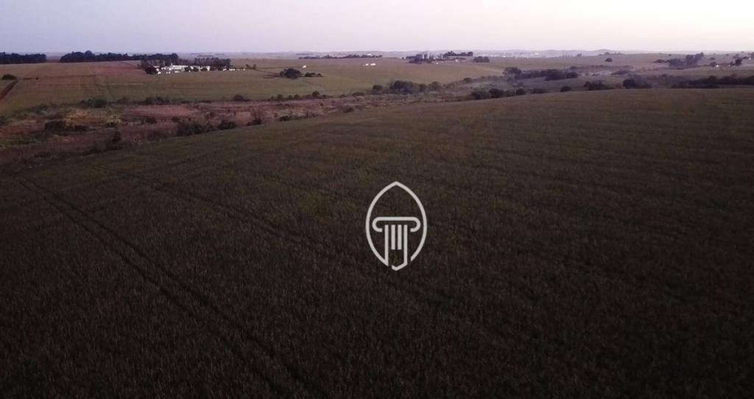 Fazenda à venda, 58 alqueires por R$ 21.000.000 - Zona Rural - Sertanópolis/PR