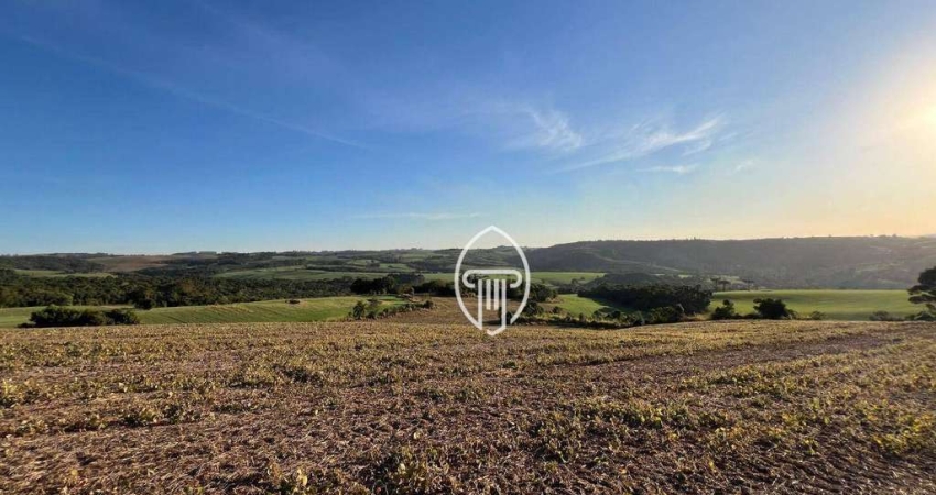 Fazenda à venda, 100 alqueires por R$ 27.000.000 - Zona Rural - Maua da Serra/PR