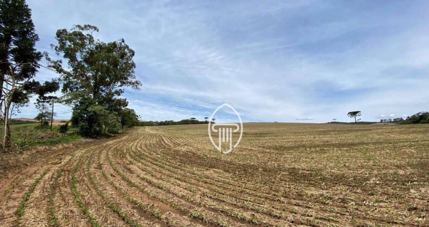 Fazenda à venda, 104 alqueires por R$ 23.000.000 - Zona Rural - Maua da Serra/PR