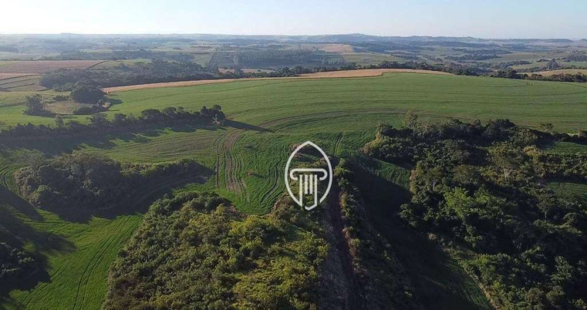 Fazenda à venda, 43 alqueires por R$ 15.100.000 - Rural - Sertanópolis/PR